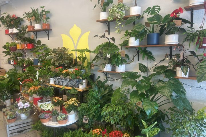 Fresh Ideas Flowers Co